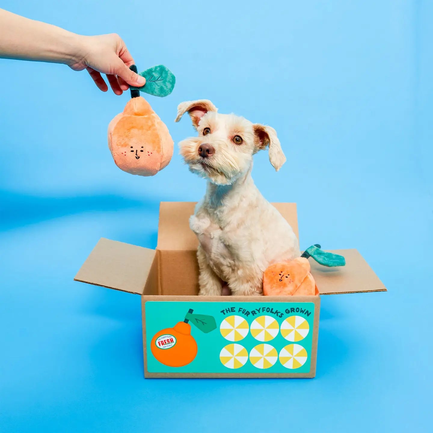 FURRY FOLKS Orange Nosework Toy