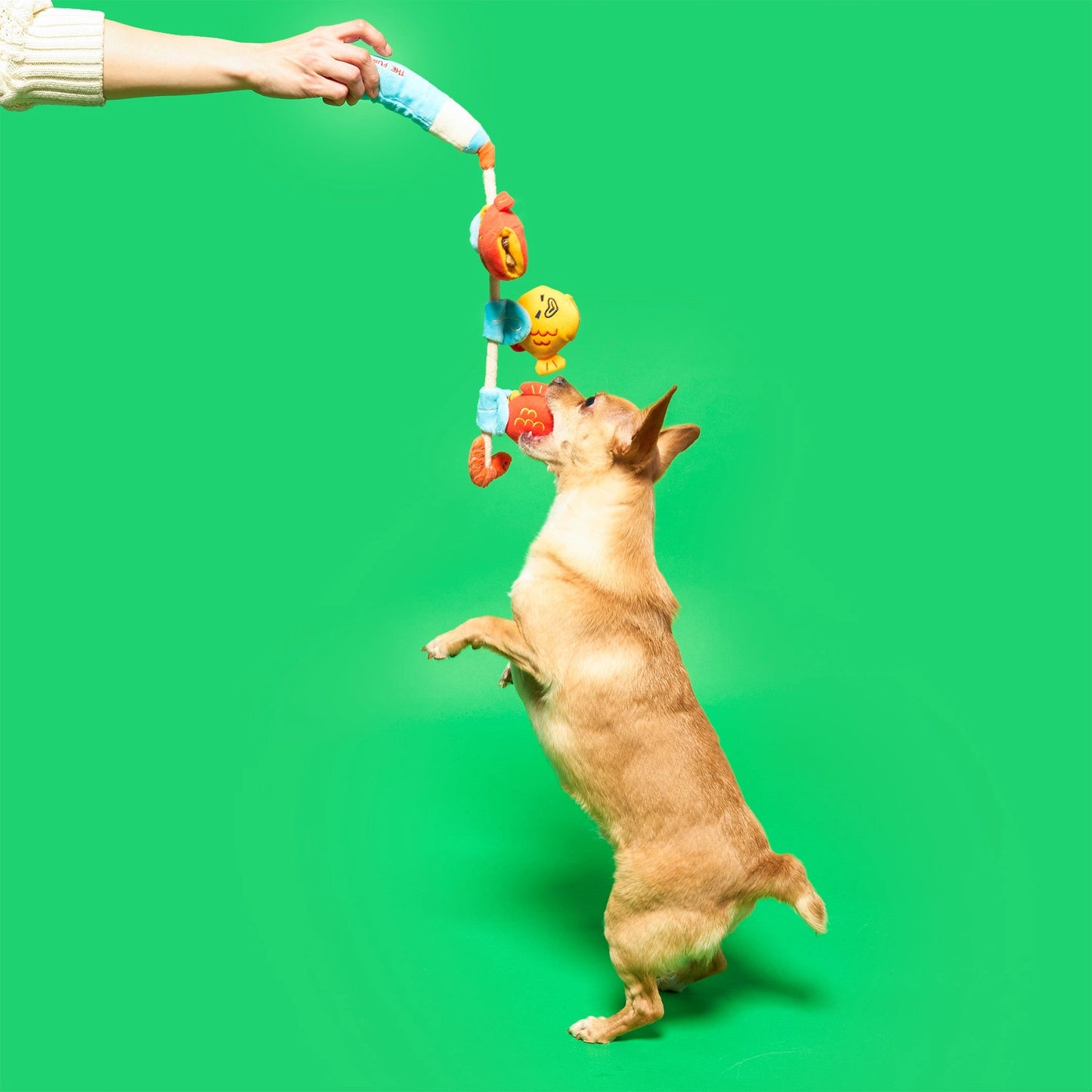 FURRY FOLKS Fishing Nosework & Tug Toy