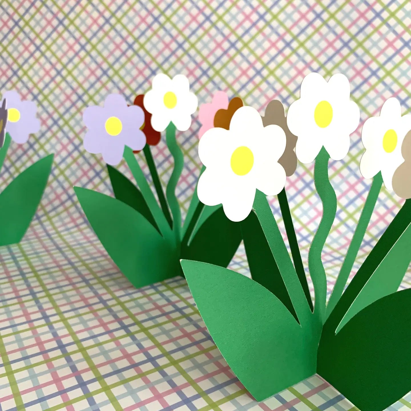 KITTY KENDA Daisy Bloom Card