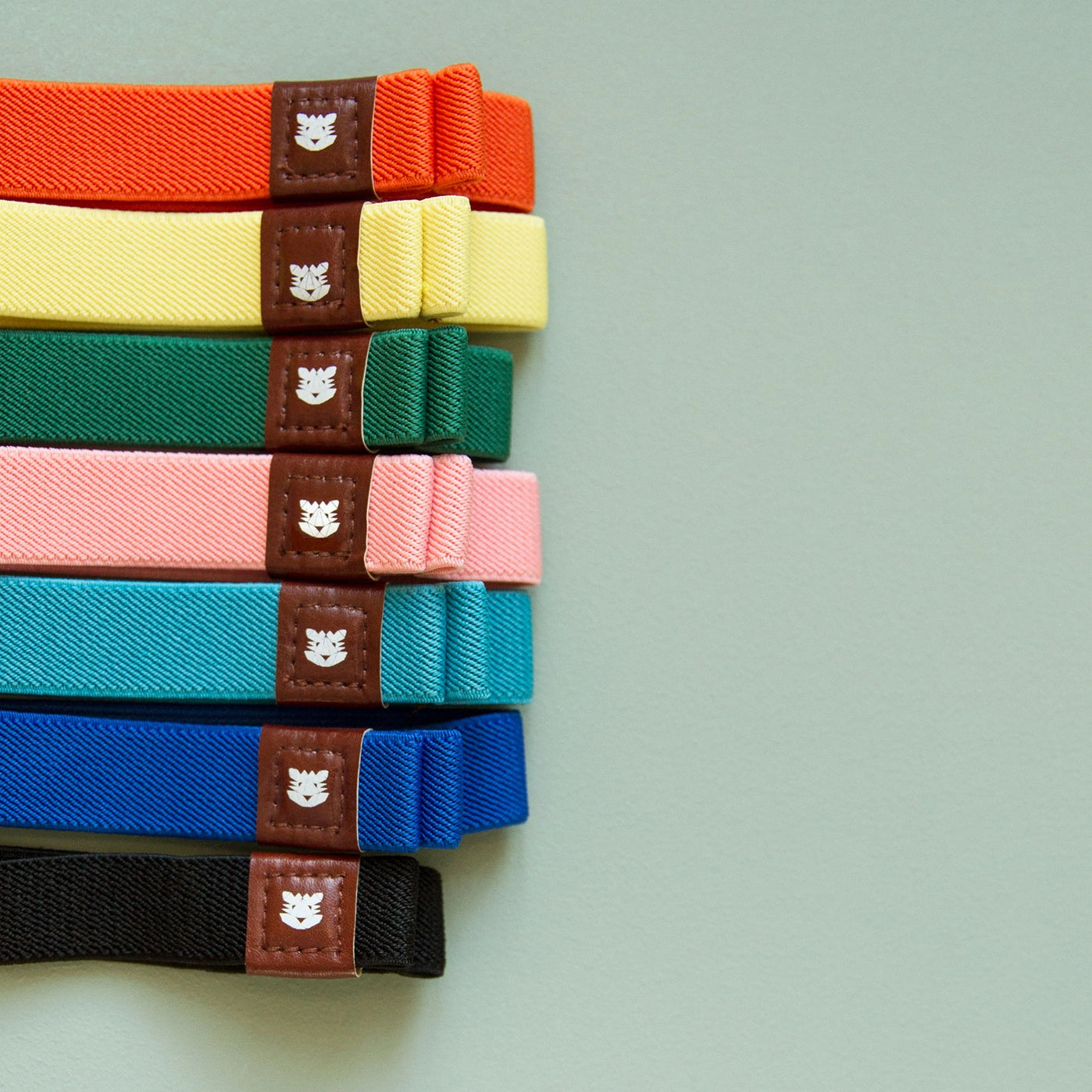 PAPIER TIGRE Voyageur Notebook Strap
