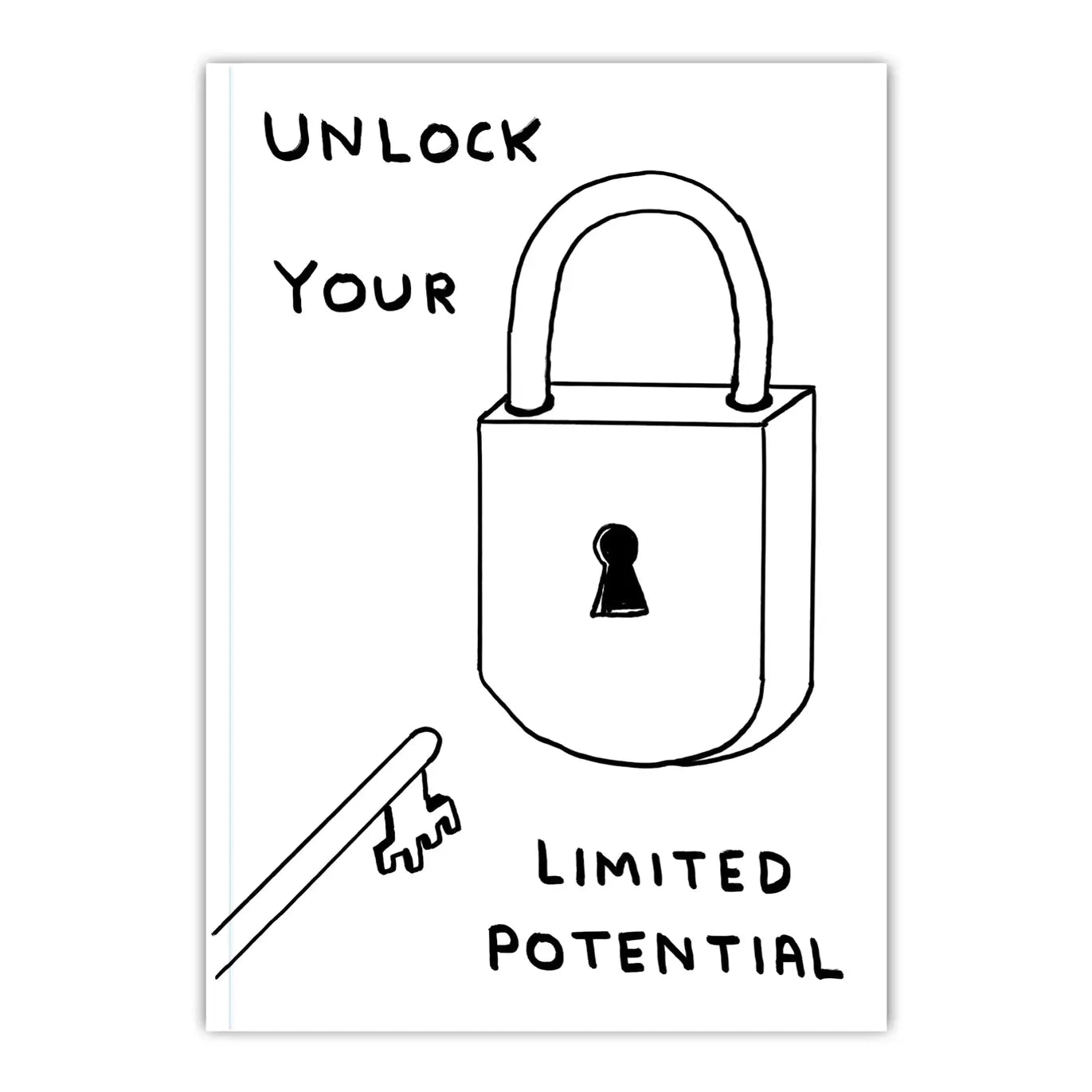 DAVID SHRIGLEY Limited Potential Notebook