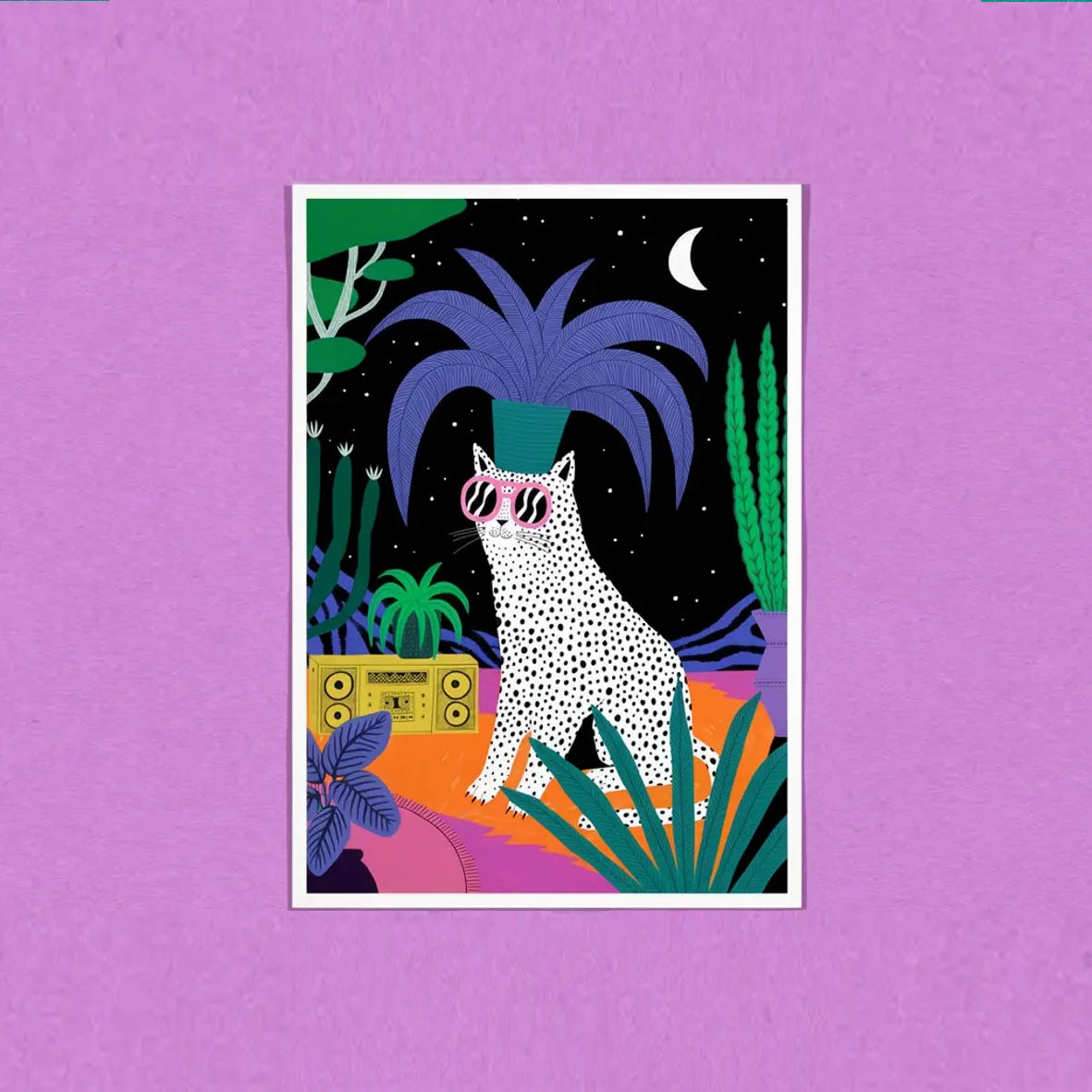 DANS LES DENTS Cat In The Night Postcard