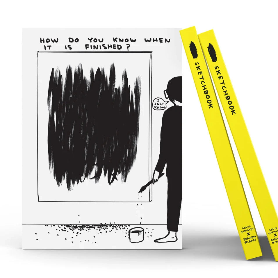 DAVID SHRIGLEY Sketchbook How Do You Know