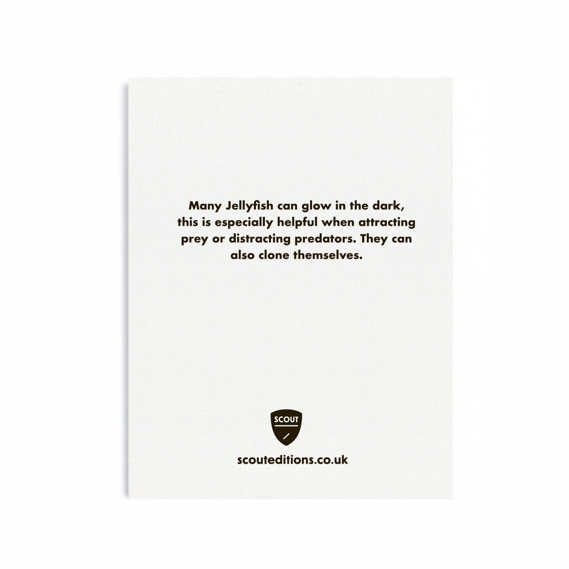 SCOUT EDITIONS Jelly Fish Card