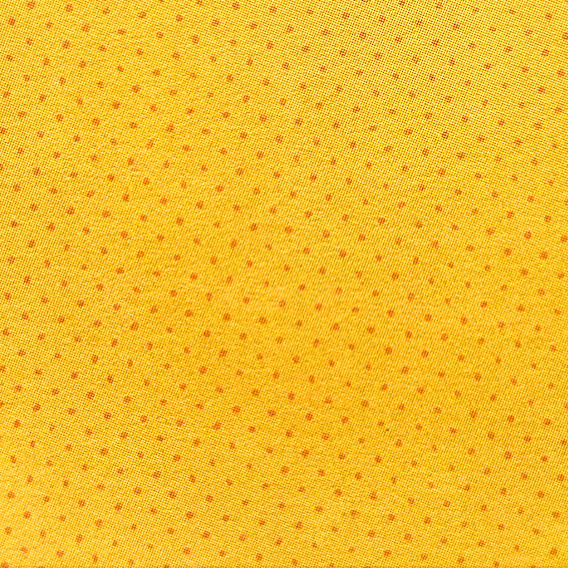 SCOUT EDITIONS Sticky Notes Clementine