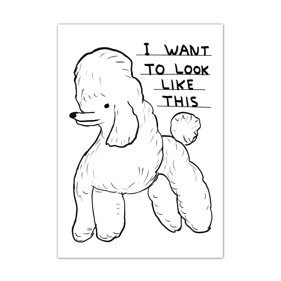 DAVID SHRIGLEY Poodle Postcard