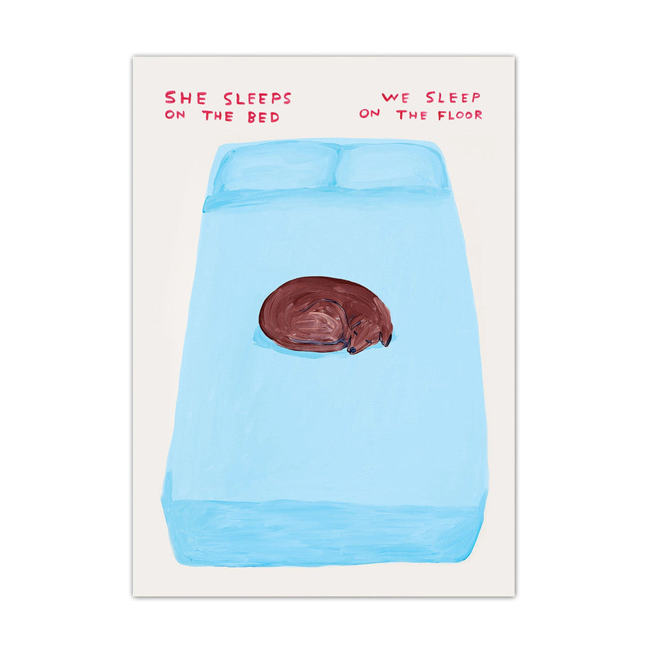 DAVID SHRIGLEY She Sleeps Postcard