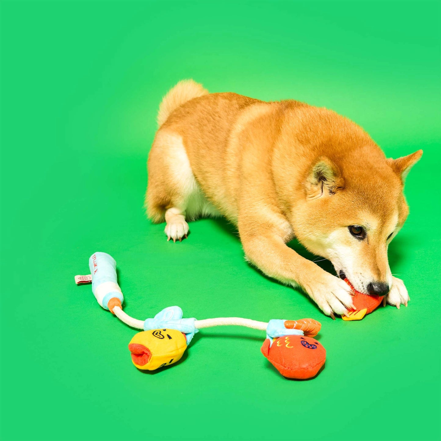 FURRY FOLKS Fishing Nosework & Tug Toy