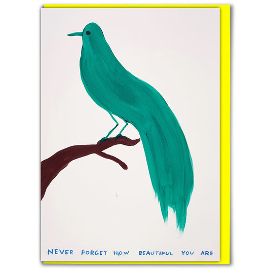 DAVID SHRIGLEY Beautiful Card