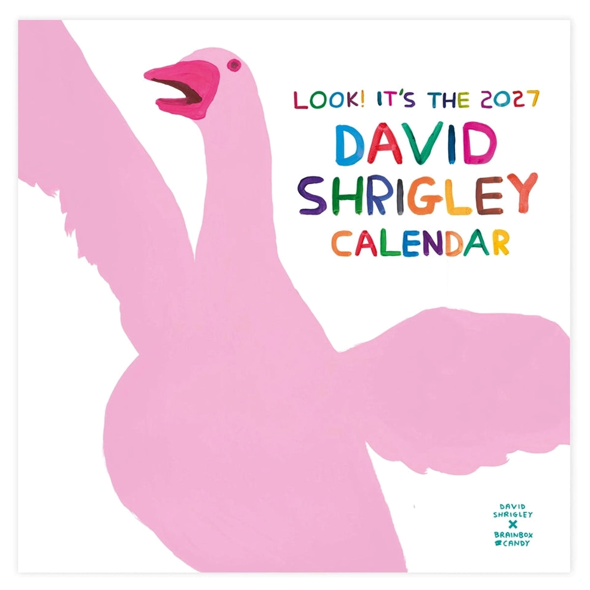 DAVID SHRIGLEY Official 2027 Wall Calendar