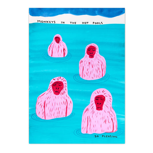 DAVID SHRIGLEY Monkey Pools Postcard