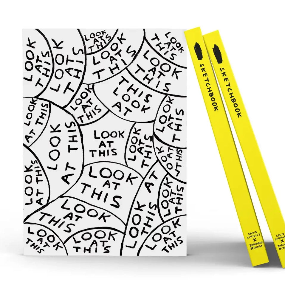 DAVID SHRIGLEY Look At This Sketchbook