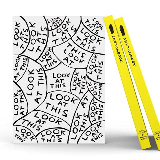 DAVID SHRIGLEY Look At This Sketchbook