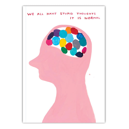 DAVID SHRIGLEY Stupid Thoughts Notebook