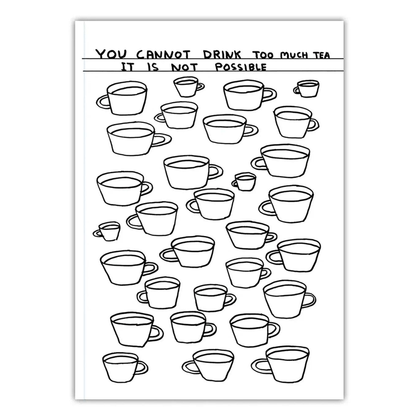 DAVID SHRIGLEY Much Tea Notebook