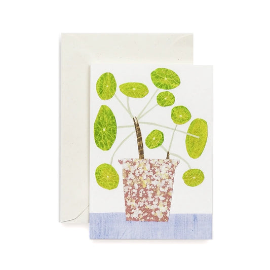 HADLEY PAPER GOODS Pilea Pepermioides Card