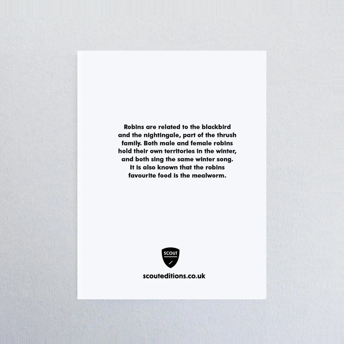 SCOUT EDITIONS Robin Card