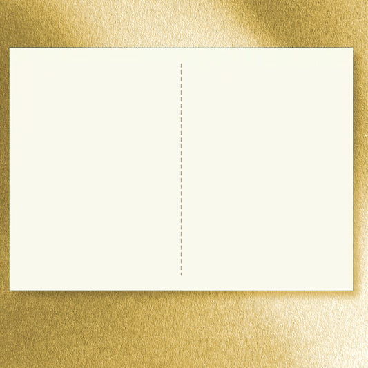 FIN STUDIO Notes Book