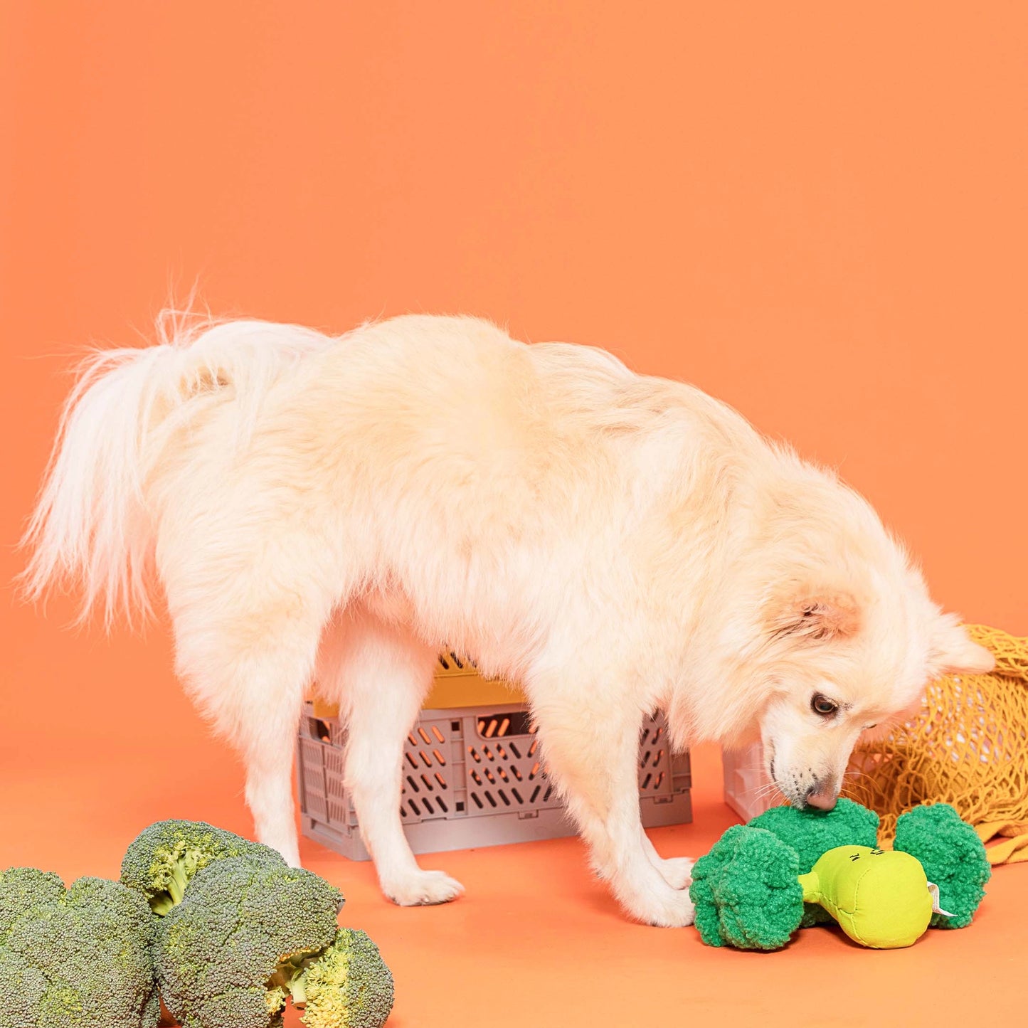 FURRY FOLKS Broccoli Nosework Toy