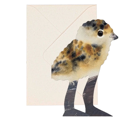 HADLEY PAPER GOODS Lapwing Chick Card