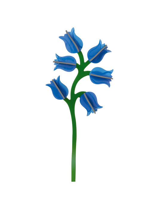 STUDIO ROOF Campanula