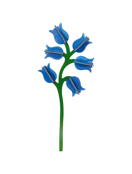 STUDIO ROOF Campanula