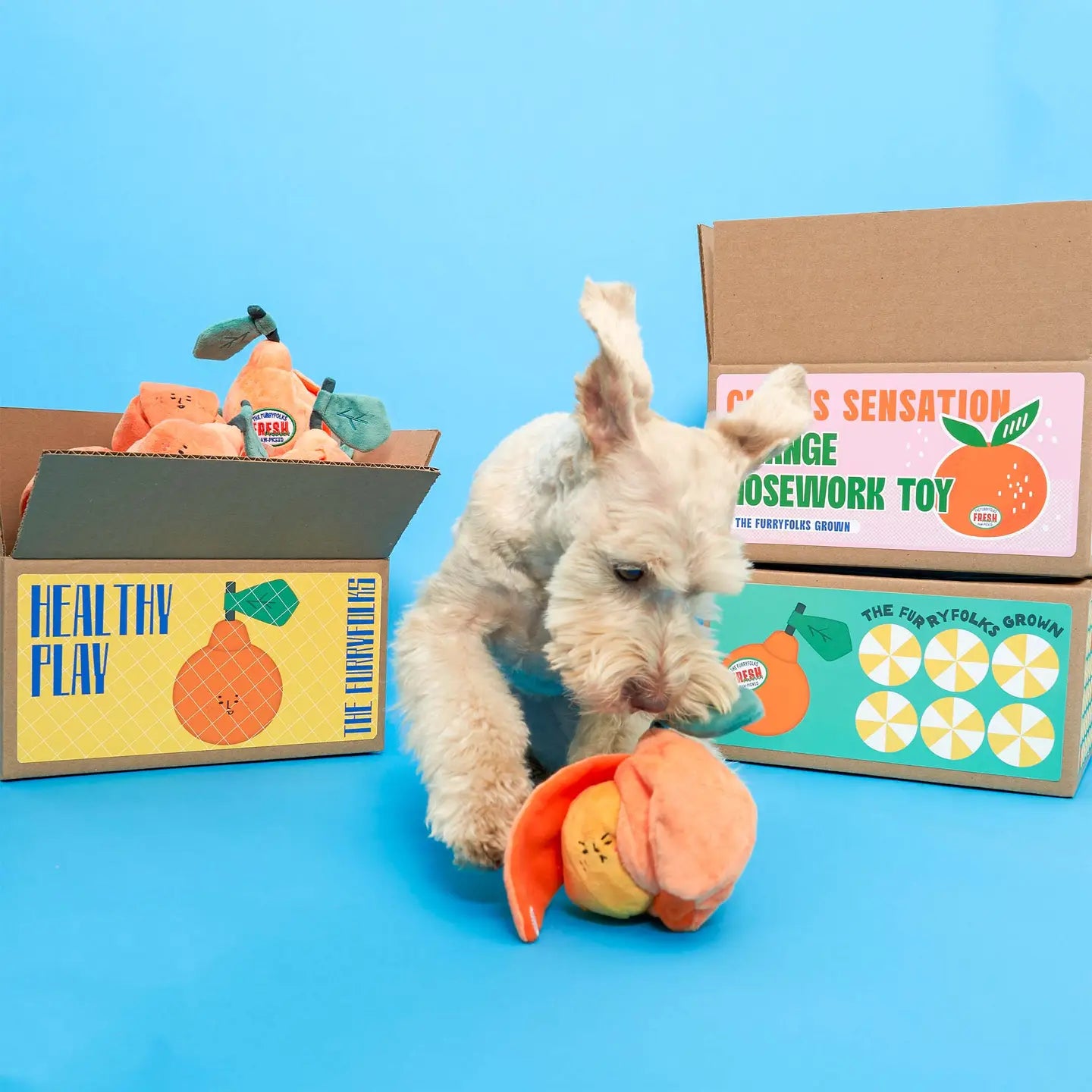 FURRY FOLKS Orange Nosework Toy