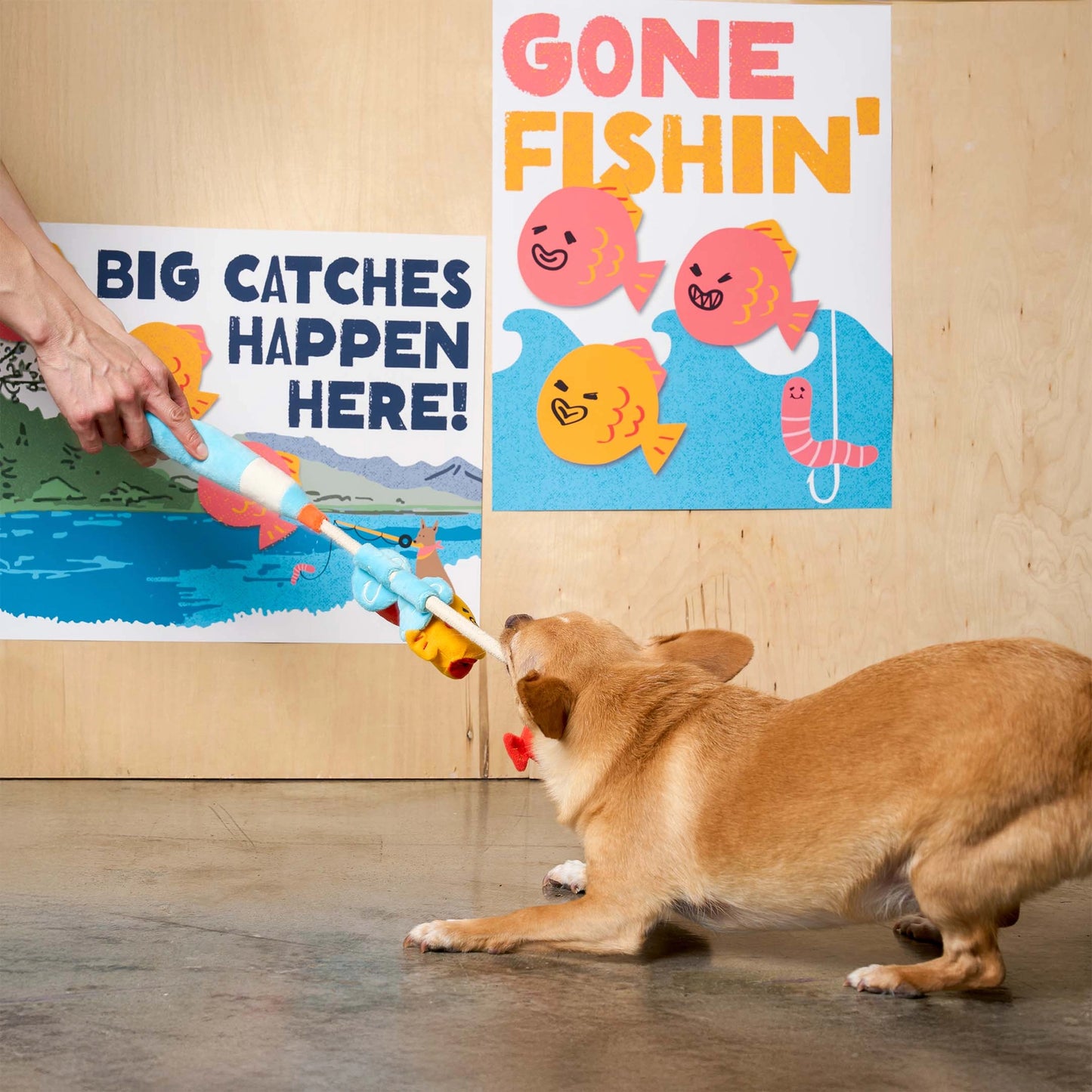 FURRY FOLKS Fishing Nosework & Tug Toy