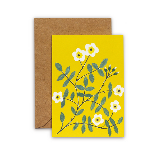 HADLEY PAPER GOODS Wild Rose Card
