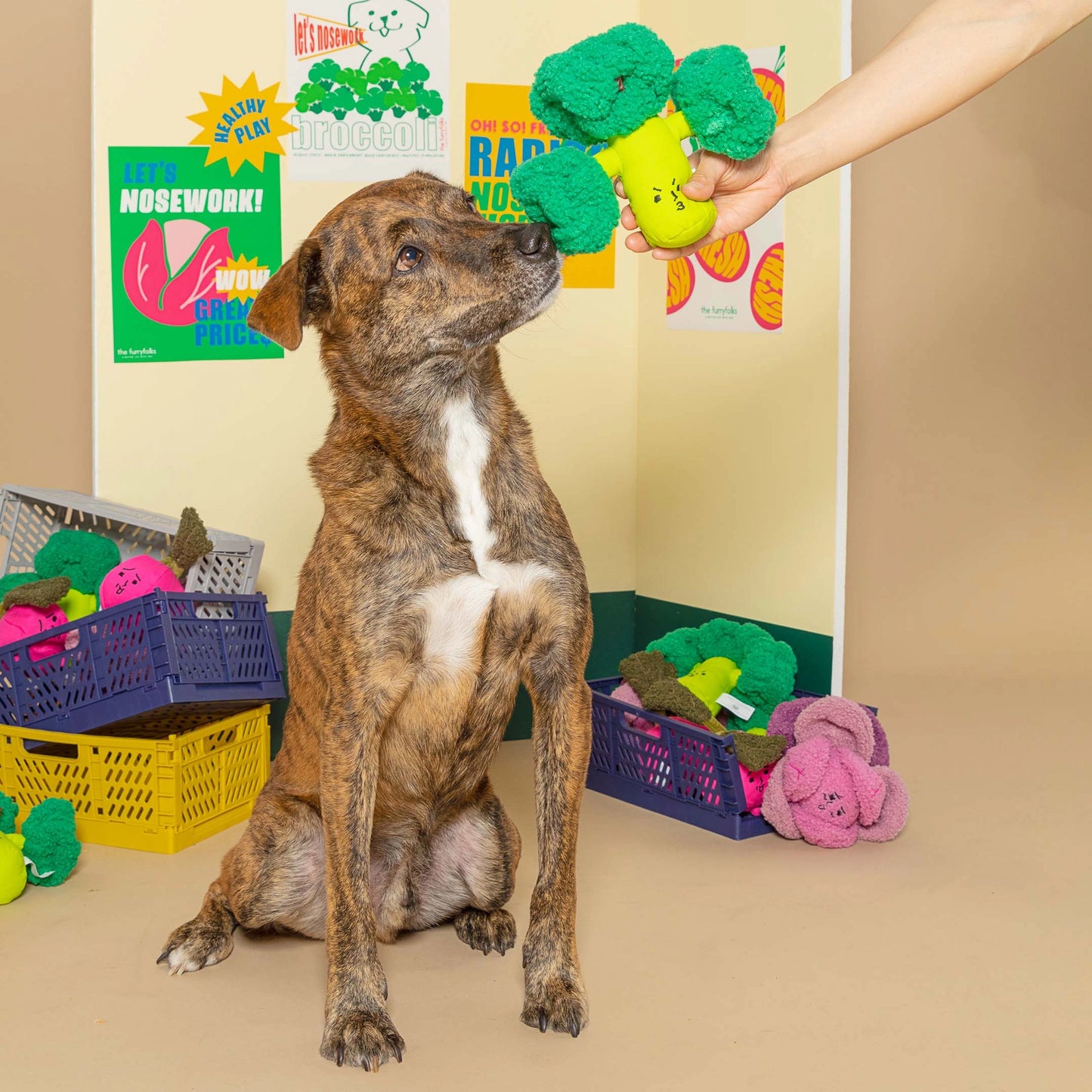 FURRY FOLKS Broccoli Nosework Toy