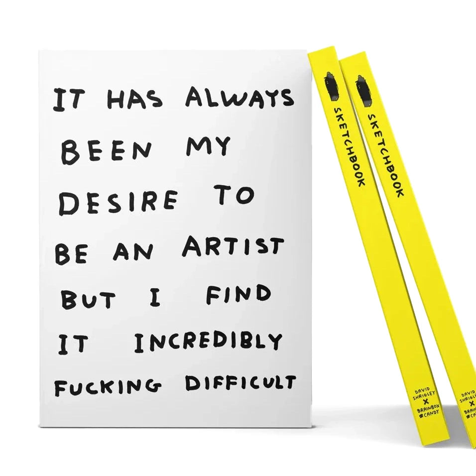 DAVID SHRIGLEY Sketchbook Difficult Art