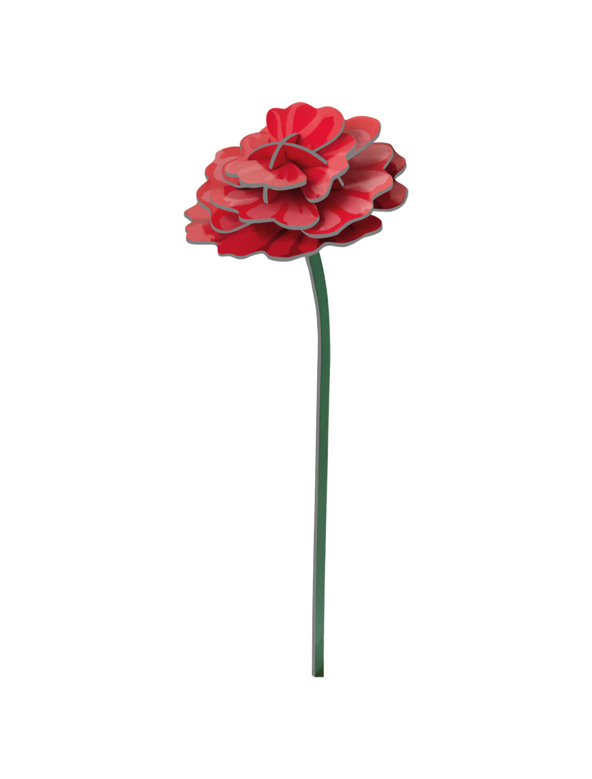 STUDIO ROOF Rose