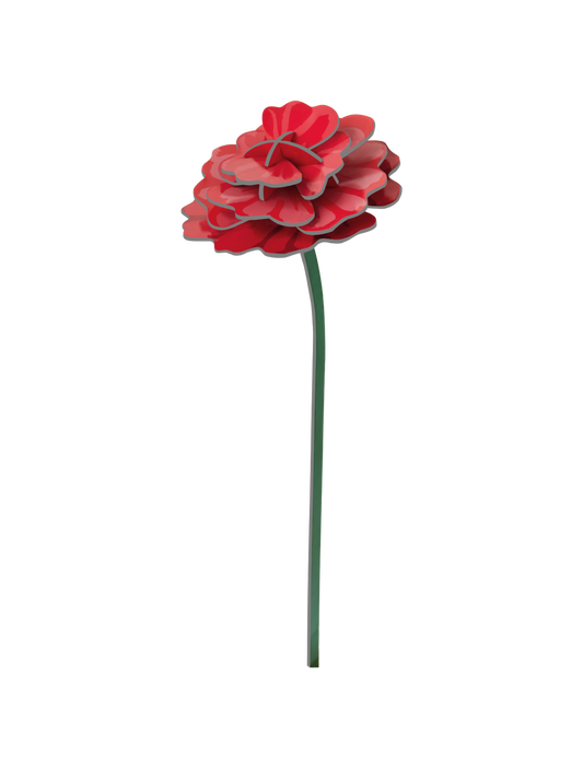 STUDIO ROOF Rose