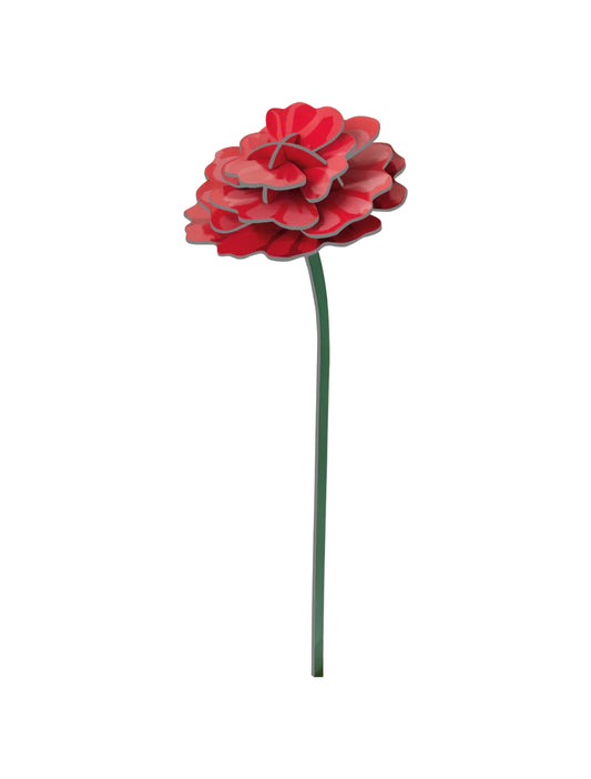 STUDIO ROOF Rose