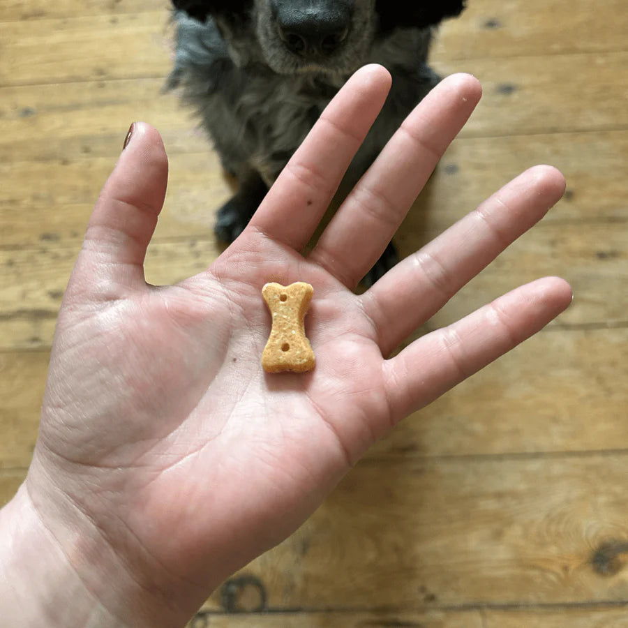 BECO Cashew Dog Treats