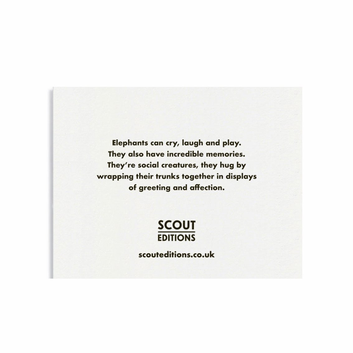 SCOUT EDITIONS Elephant Card