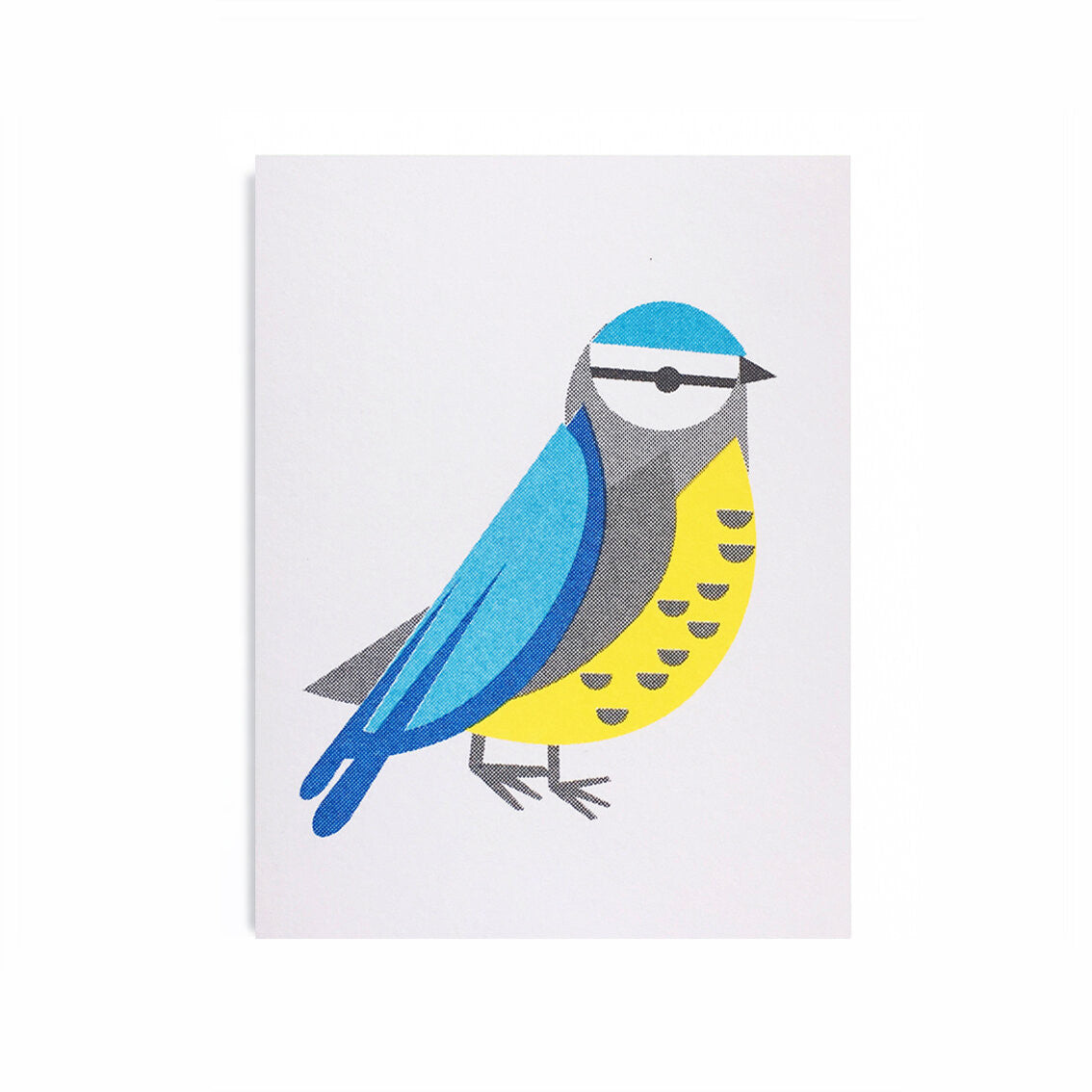 SCOUT EDITIONS Blue Tit Card